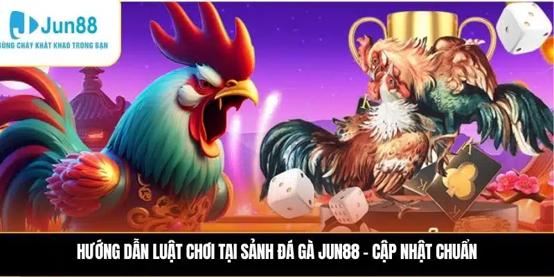Hướng dẫn luật chơi tại sảnh Đá gà JUN88 – Cập nhật chuẩn